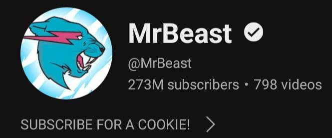 Mr Beast के YouTube  के Subscribers दिखते है वर्तमान के